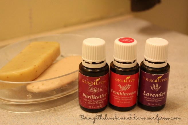 An Oily Day  | Through The Lens of Hannah Diane