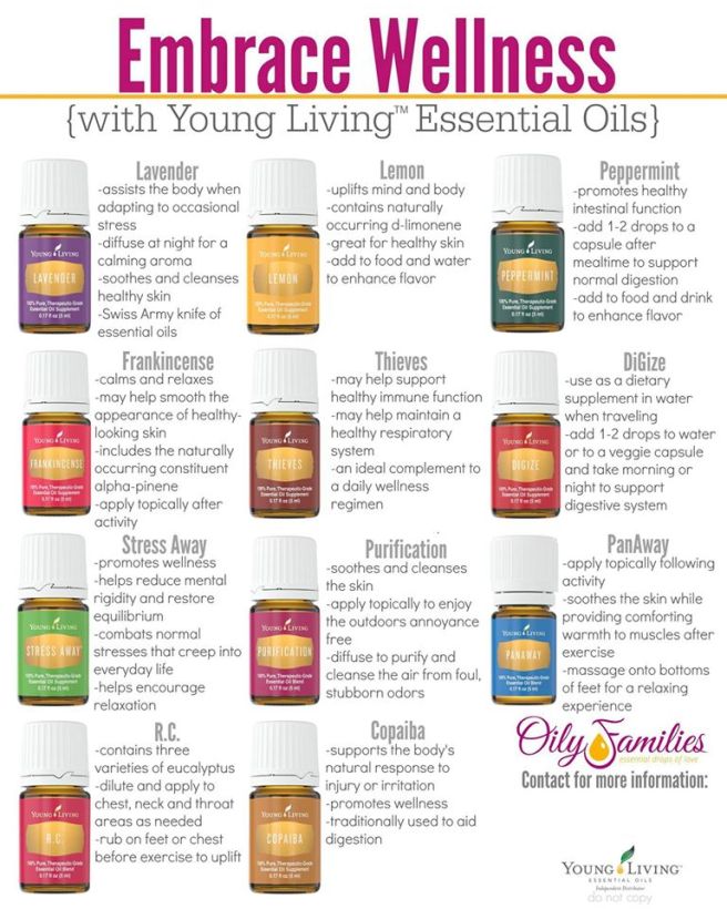 10557129_10155711978615484_7283554388496275743_o