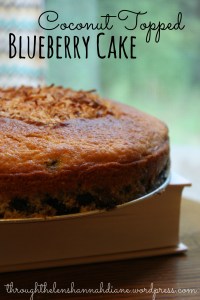 Coconut Blueberry Cake