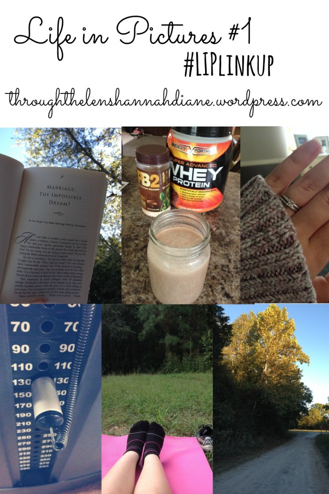 Life in Pictures Link Up