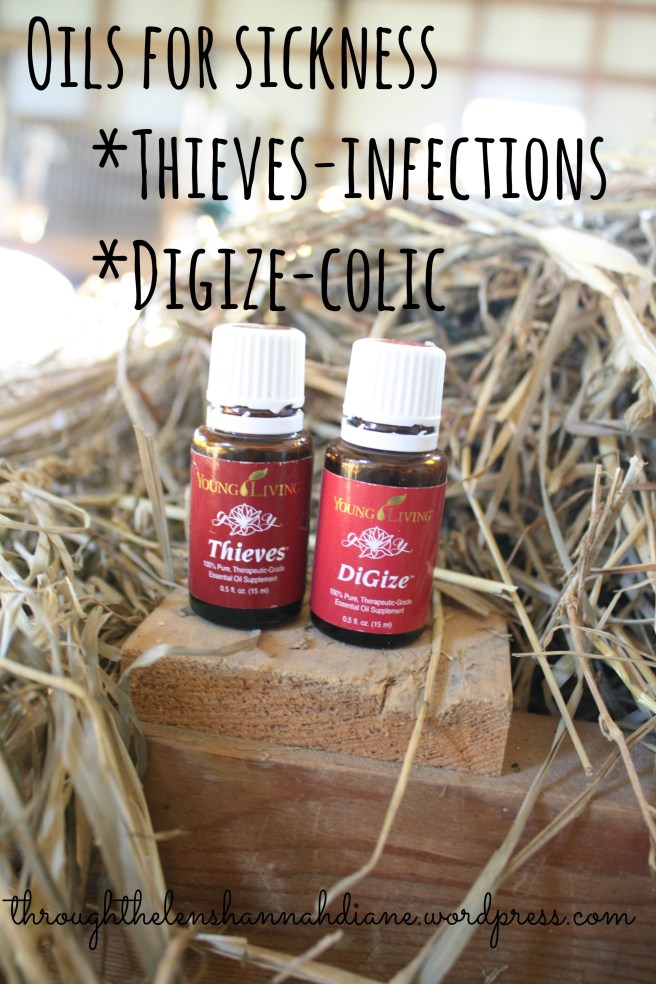 Oils for sickness