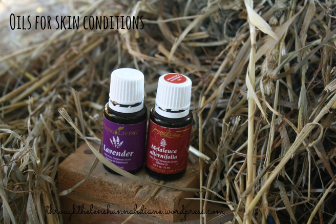 Oils for skin conditions