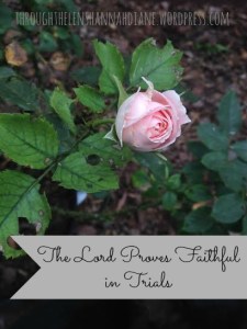 The Lord Proves Faithful in Trials