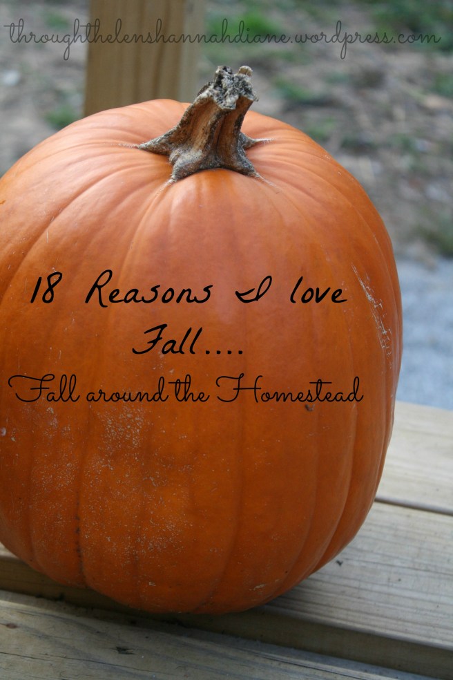 18 Reasons I love Fall
