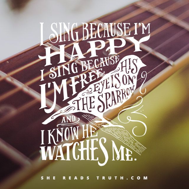 1f5ea5a9d16f2a9b48d0efba281afcac