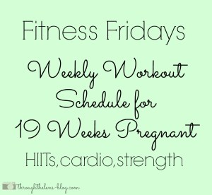 19 Week Workout Schedule