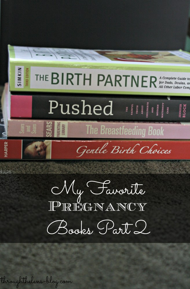 Pregnancy Books
