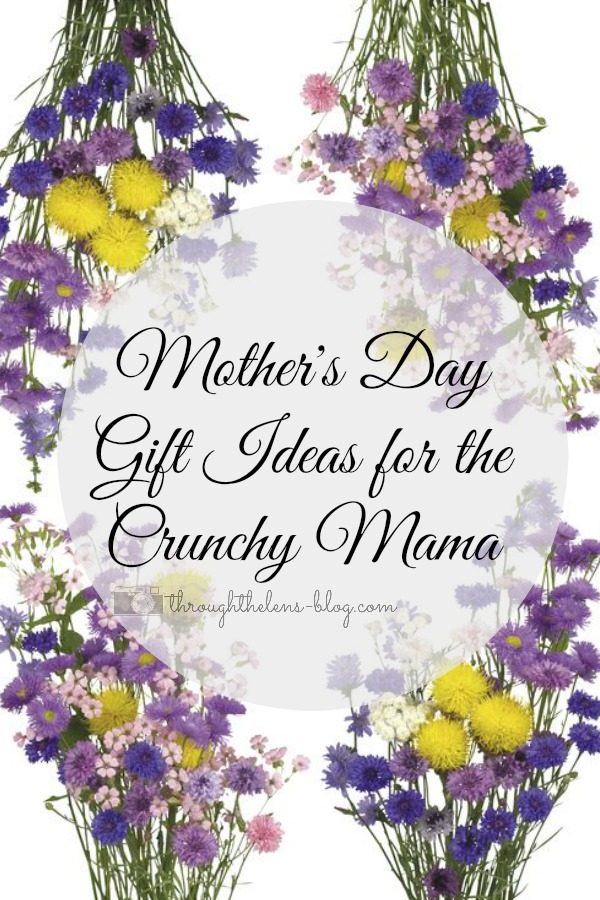Gift Ideas for the Crunchy Mama